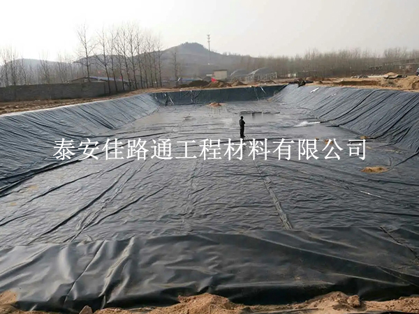 魚(yú)塘防滲膜在防止魚(yú)類(lèi)疾病是有“兩把刷子”的