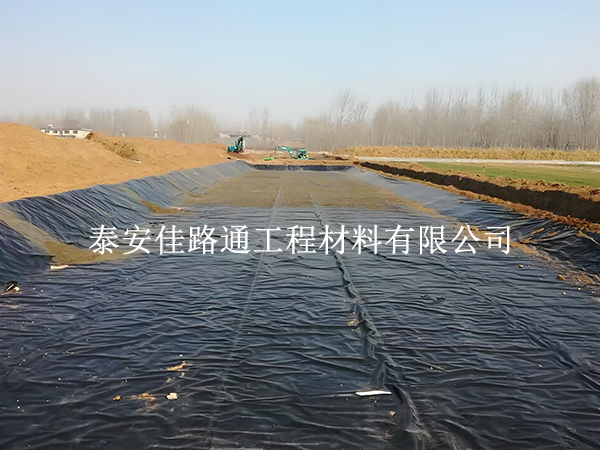 在土工材料市場上如何進行養(yǎng)殖防滲膜選購? 在土工材料市場上如何進行養(yǎng)殖防滲膜選購?