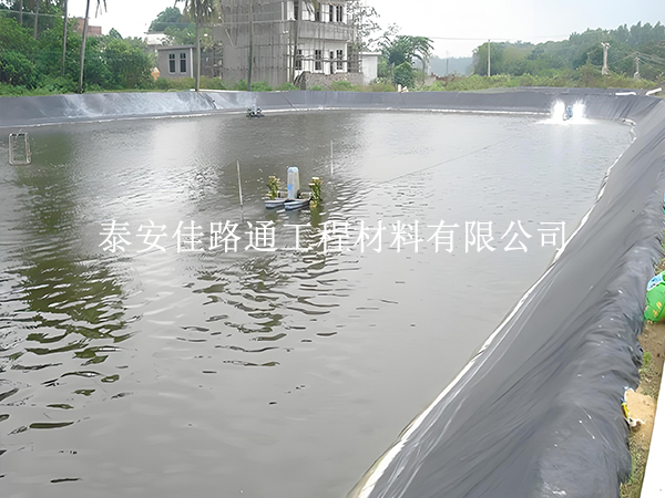 魚塘防滲膜老化快?這些因素在悄悄影響使用壽命 魚塘防滲膜老化快?這些因素在悄悄影響使用壽命